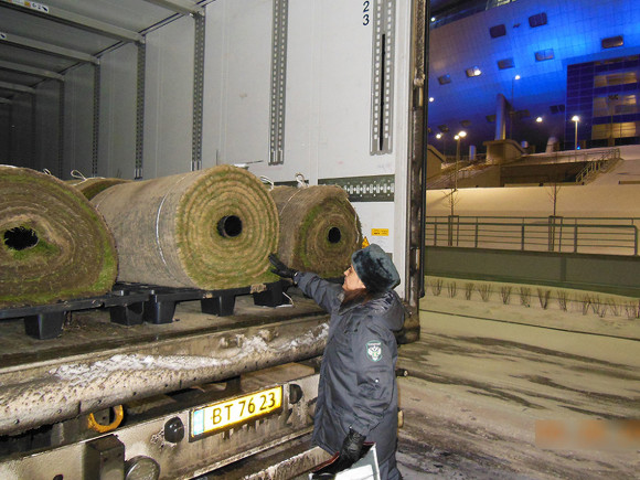 Россельхознадзор позитивно оценил новый газон для стадиона «Санкт-Петербург» Россельхознадзор позитивно оценил новый газон для стадиона «Санкт-Петербург»
