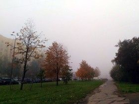 Фото ИА «Росбалт»