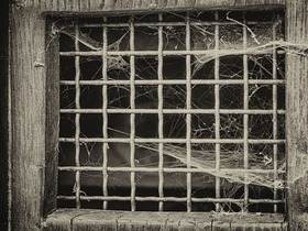 СС0 Public Domain