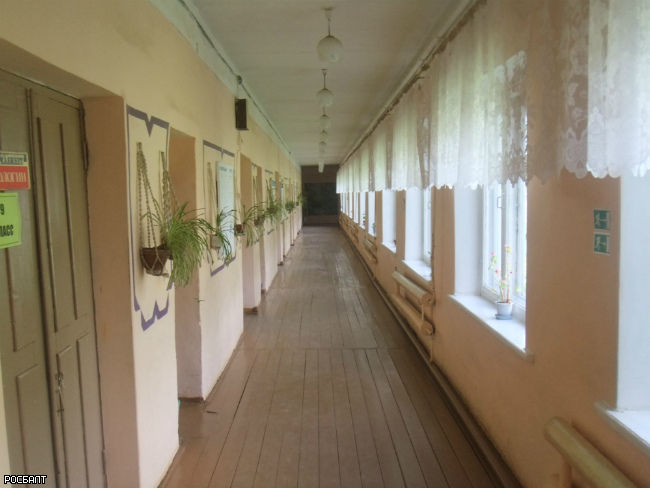 Фото Александра Калинина