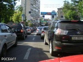 Стешенко Анна