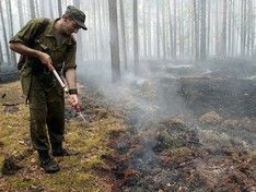 Площадь лесных пожаров в Сибири превысила 2,1 млн га