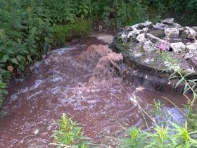 Фото предоставлено пресс-центром Росприроднадзора по СЗФО