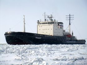 Фото Александра Калинина