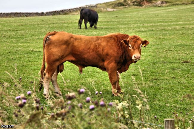 Фото Екатерины Хмыльниной
