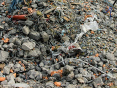 В Ленобласти возбудили дела за загрязнение экологии, но по-прежнему принимают отходы