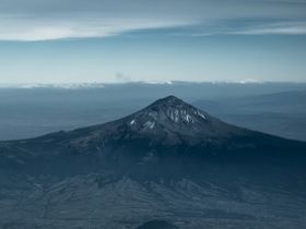 Автор фото Надежда Комаренко, ИА «Росбалт»