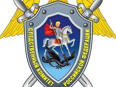 В Солнечногорске задержана девушка, устроившая избиение школьницы