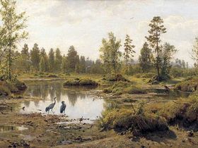 СС0 Public Domain