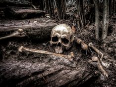 Скелет пропавшего охотника нашли в лесу под Пензой