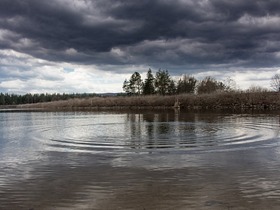 СС0 Public Domain