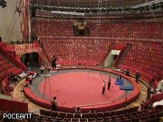 В Тобольске обрушился сектор со зрителями в цирке‍