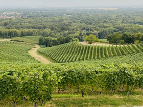 Фото с сайта inlovewithtoscana.com
