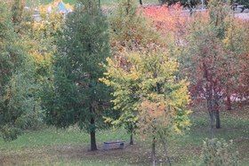 фото Владимира Верховых