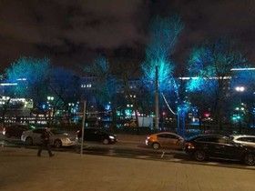 Фото ИА «Росбалт», Наталья Станэску