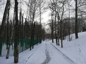 Фото ИА «Росбалт», Наталья Станэску