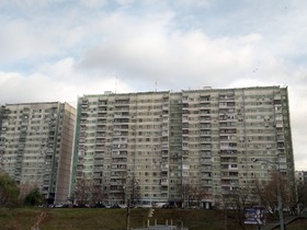 Фото ИА «Росбалт», Наталья Станэску