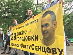 Звягинцев, Сокуров и Хаматова просят Путина о помиловании Сенцова
