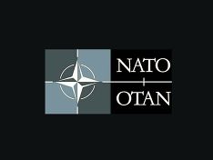 Волкер надеется, что Россия не станет демонстрировать негативную реакцию на интеграцию Украины в НАТО