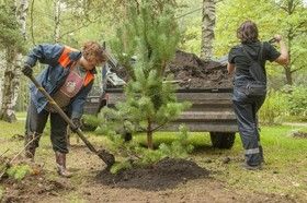 фото пресс-службы комитета по благоустройству Петербурга