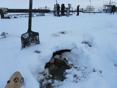 В Саратовской области произошел крупный разлив из нефтепровода структуры «Транснефти»