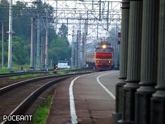 В Петербурге проводится проверка по факту гибели мужчины на железнодорожных путях (видео)