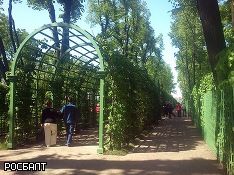 Минкульт не давал распоряжения делать платным вход в Летний сад