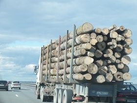Фото Надежды Красновой