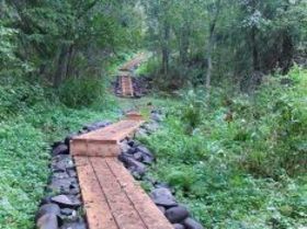 фото пресс-службы комитета по благоустройству Петербурга