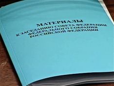 Совфед одобрил продление налоговой амнистии