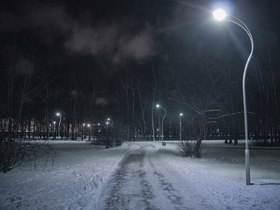 Фото Ивана Шалёва, ИА «Росбалт»