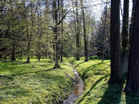 Фото ИА «Росбалт», Иван Шалёв
