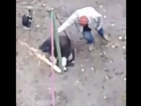 Стоп-кадр видео