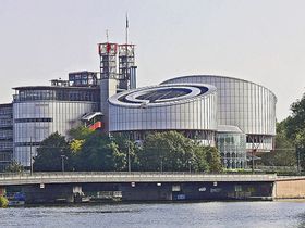 СС0 Public Domain