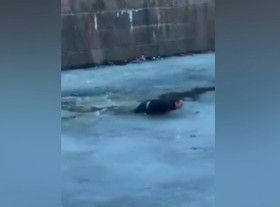 Стоп-кадр видео