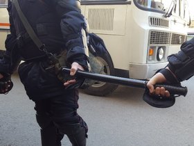 Фото Дениса Гольдмана, ИА «Росбалт»