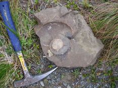 В Архангельской области вандалы целенаправленно уничтожили древние петроглифы