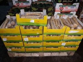 Управления Россельхознадзора по СПб и ЛО