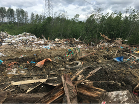Фото предоставлено "Зеленым фронтом"