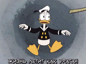 Стоп-кадр видео