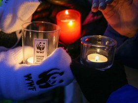 http://60.wwf.ru/