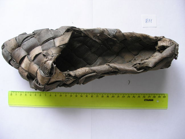 Петербургские археологи нашли массовое захоронение первых строителей города на Неве и выяснили, кем они были (фото)