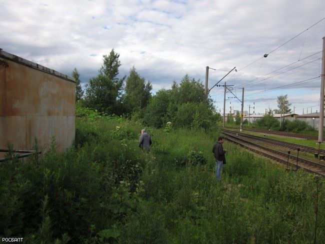 Пассажиры электричек в Девяткино устроили туалет прямо у платформы (фото)