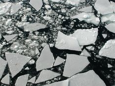 Двое детей провалились под лед и утонули в Архангельской области