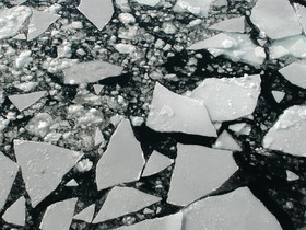 СС0 Public Domain