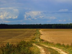 Медведев потребовал обратить внимание на доступность офисов Сбербанка в сельской местности