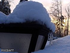 Фото Надежды Красновой