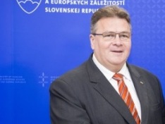 Глава МИД Литвы призвал «давить» на Россию