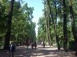 Летний сад в Санкт-Петербурге после реконструкции