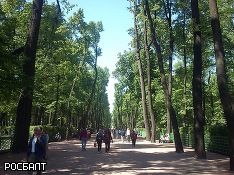 В мире проходит Марш парков